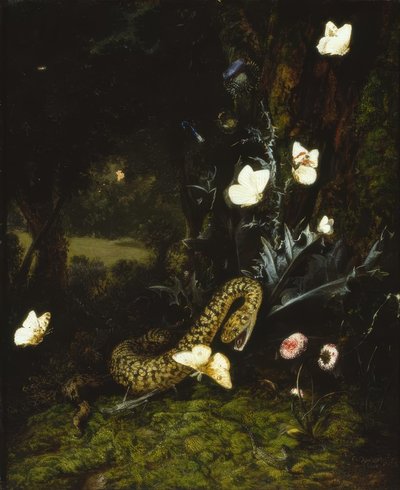 Kobylka, had a motýli u bodláku od Otto Marseus  van Schrieck